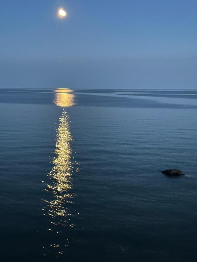 The Wind In The Willows - Luxury Lakefront Oasis Bed and Breakfast Cobourg Exterior foto
